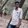 Profile picture of Shedge