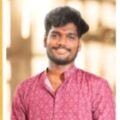 P. Vignesh